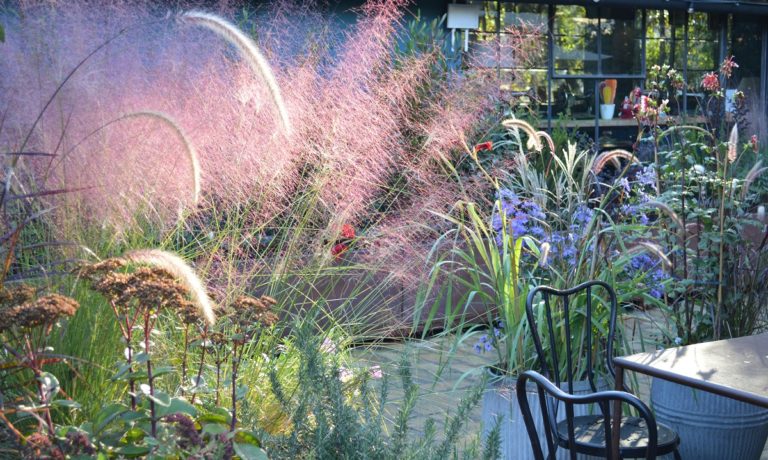 Le Serre Bistrot Ristorante